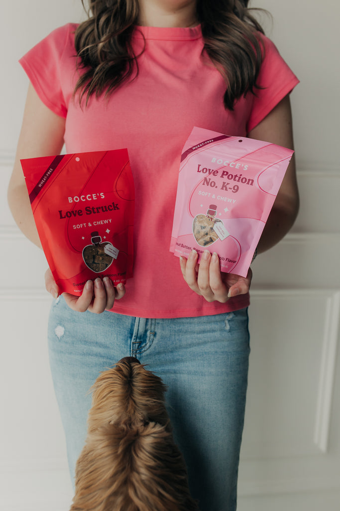Love Struck Soft & Chewy Dog Treats