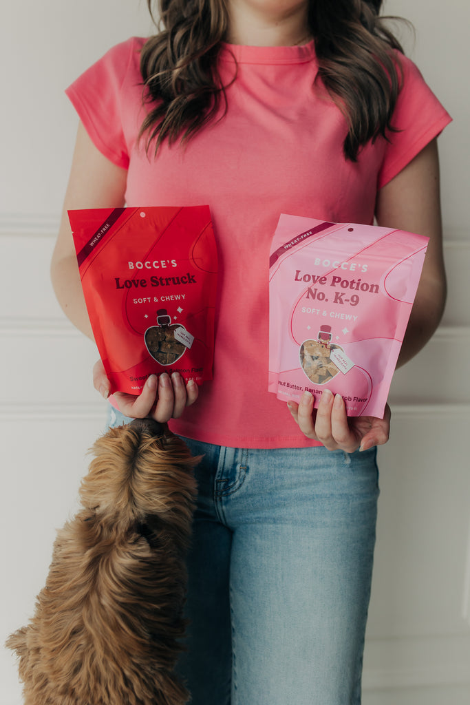 Love Struck Soft & Chewy Dog Treats