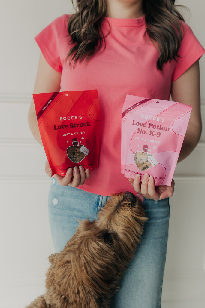 Love Struck Soft & Chewy Dog Treats