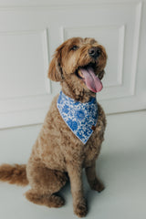 The Louise Bandana