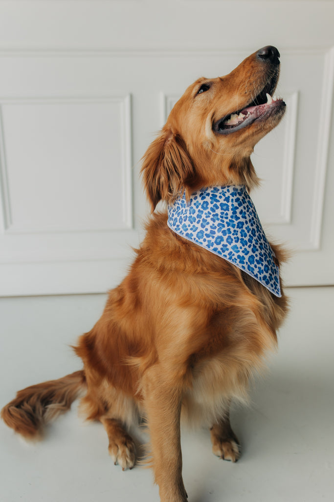 The Juliette Bandana