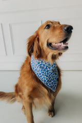 The Juliette Bandana