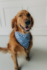 The Juliette Bandana