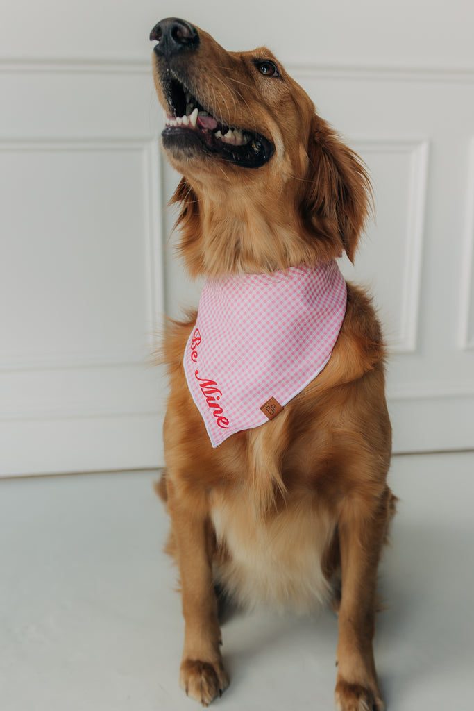 Be Mine Valentine's Day Bandana