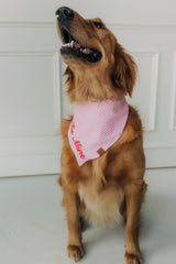 Be Mine Valentine's Day Bandana