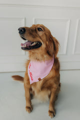 Be Mine Valentine's Day Bandana