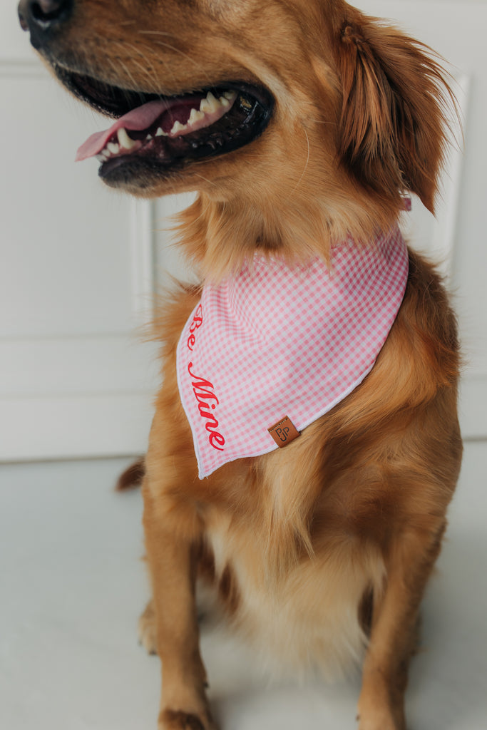Be Mine Valentine's Day Bandana