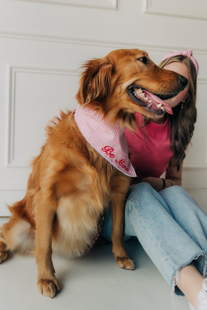 Be Mine Valentine's Day Bandana