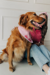 Be Mine Valentine's Day Bandana