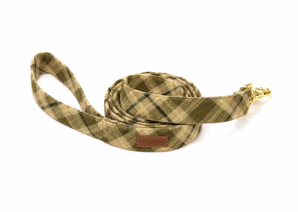 The Joshua Tree Flannel Leash