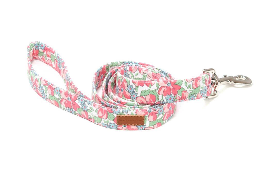 The Dotty Leash