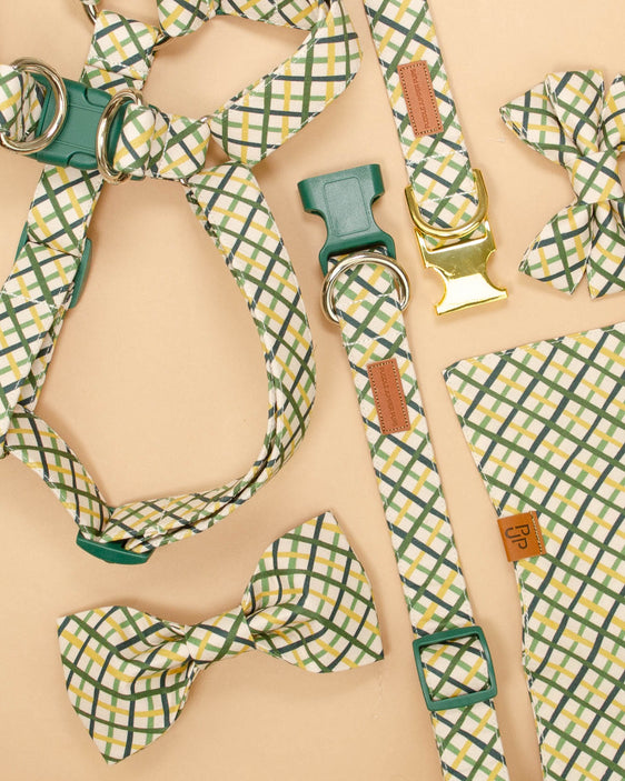 The Rush Bowtie