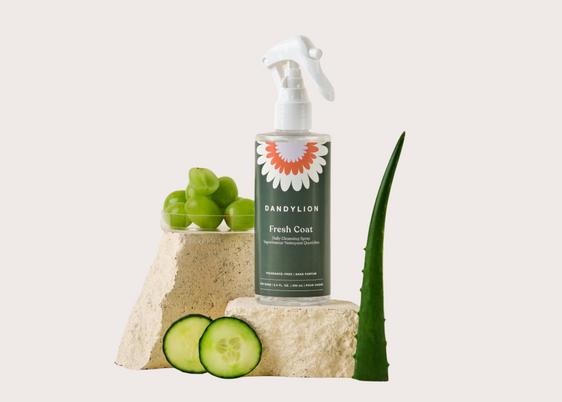 Dandylion - Waterless No-Rinse Shampoo