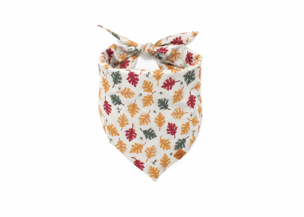The Blaze Bandana