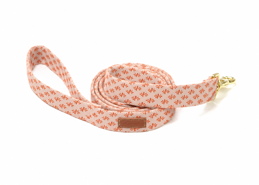 The Celeste Leash
