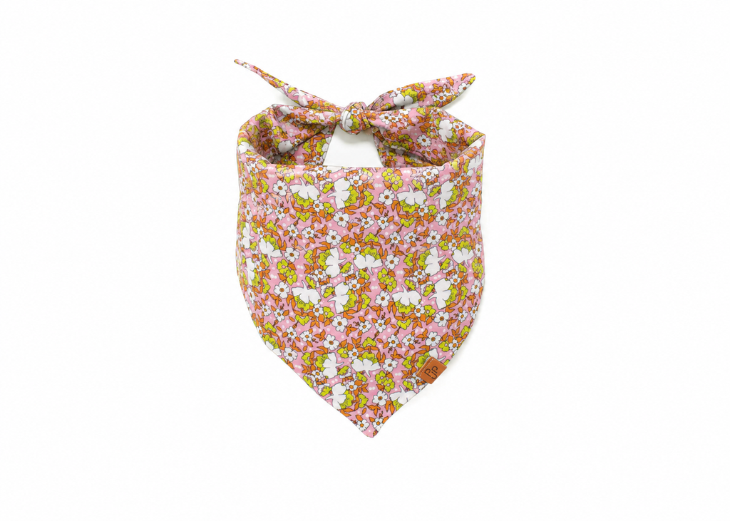 The Daphne Bandana