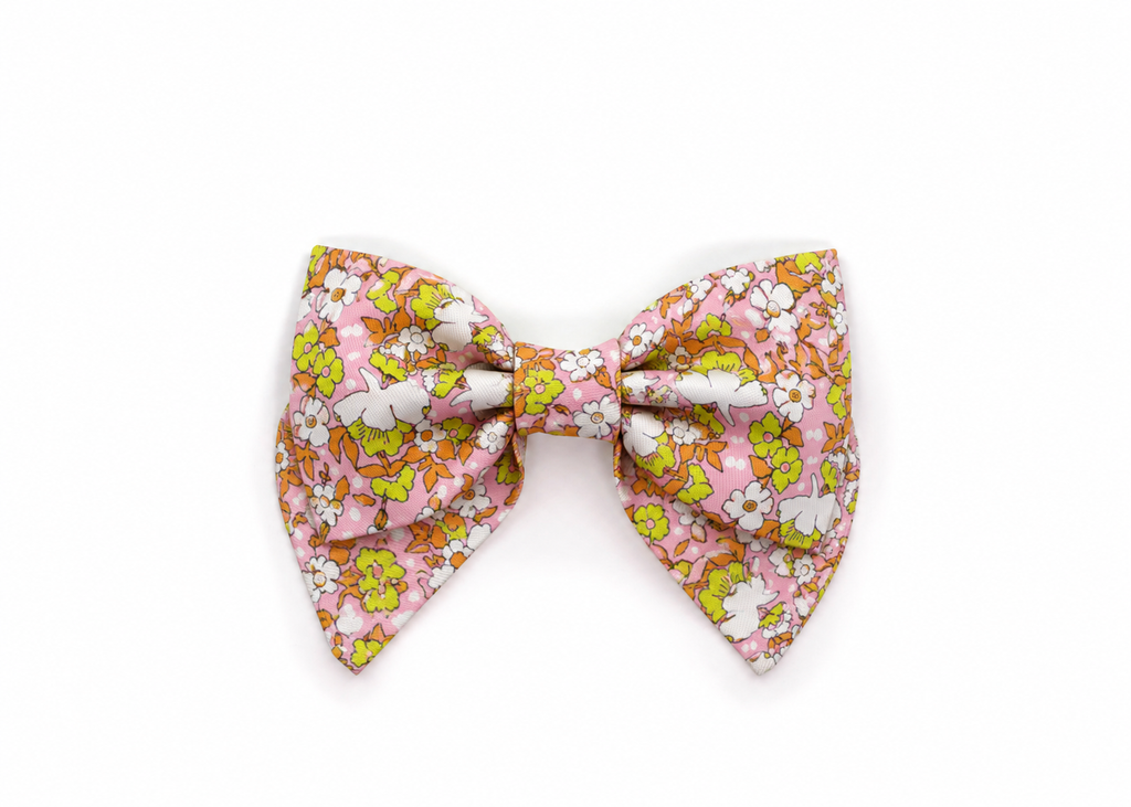 The Daphne Lady Bow