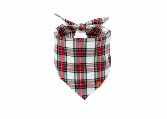 The Glacier Bay Flannel Bandana
