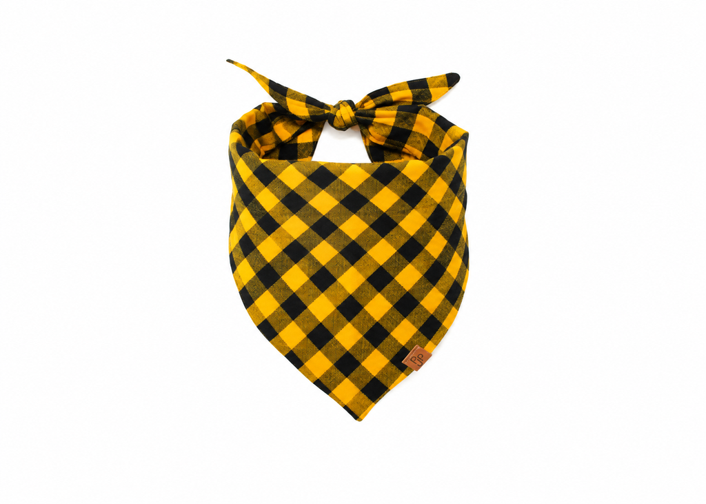 The Kings Canyon Flannel Bandana