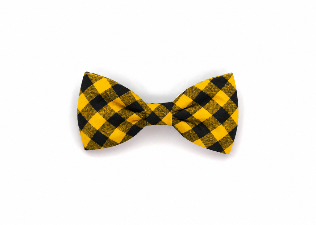 The Kings Canyon Flannel Gentleman Bow