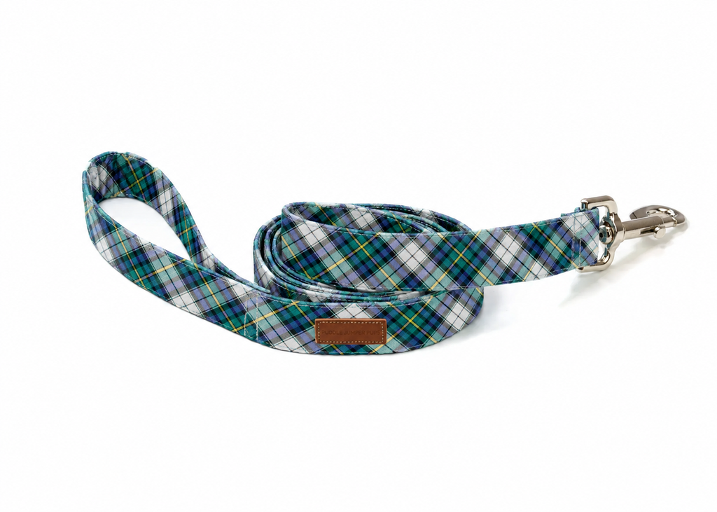 The Nolan Leash
