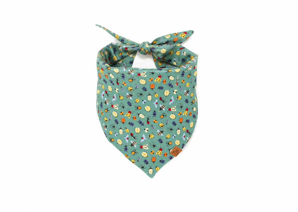 The Aiken Bandana