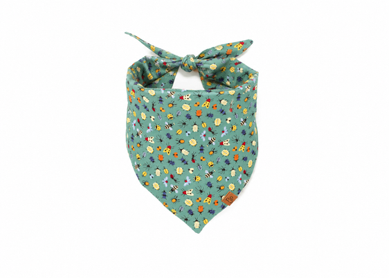 The Aiken Bandana