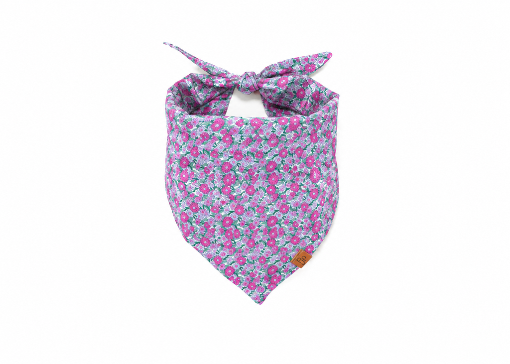 The Abby Bandana