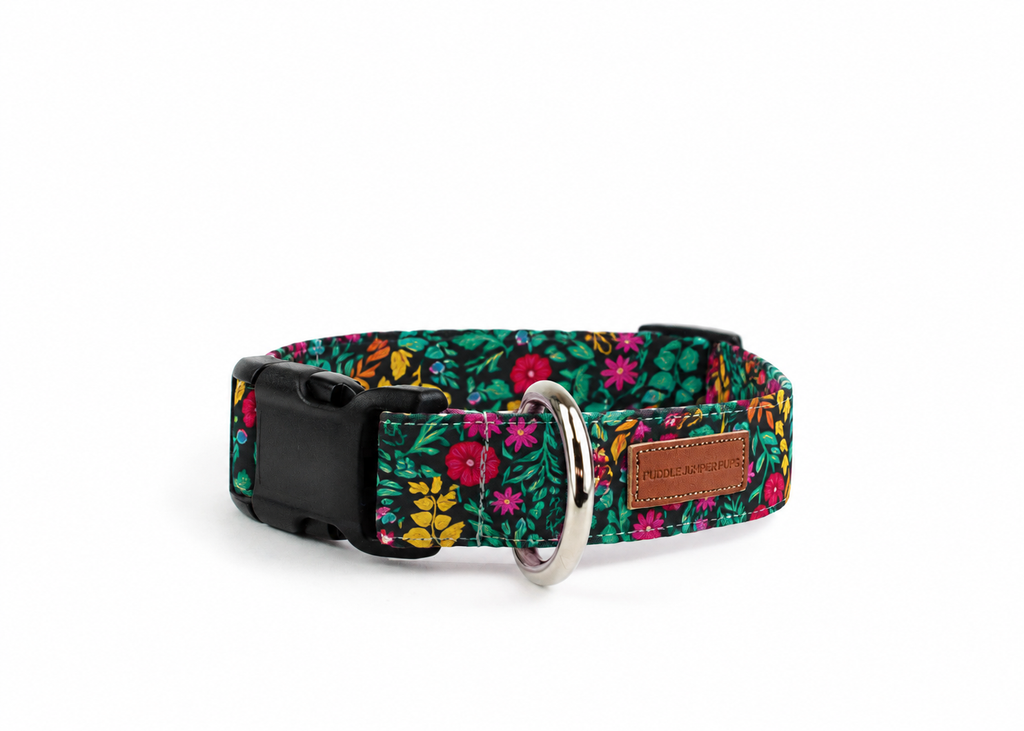 The Altha Collar