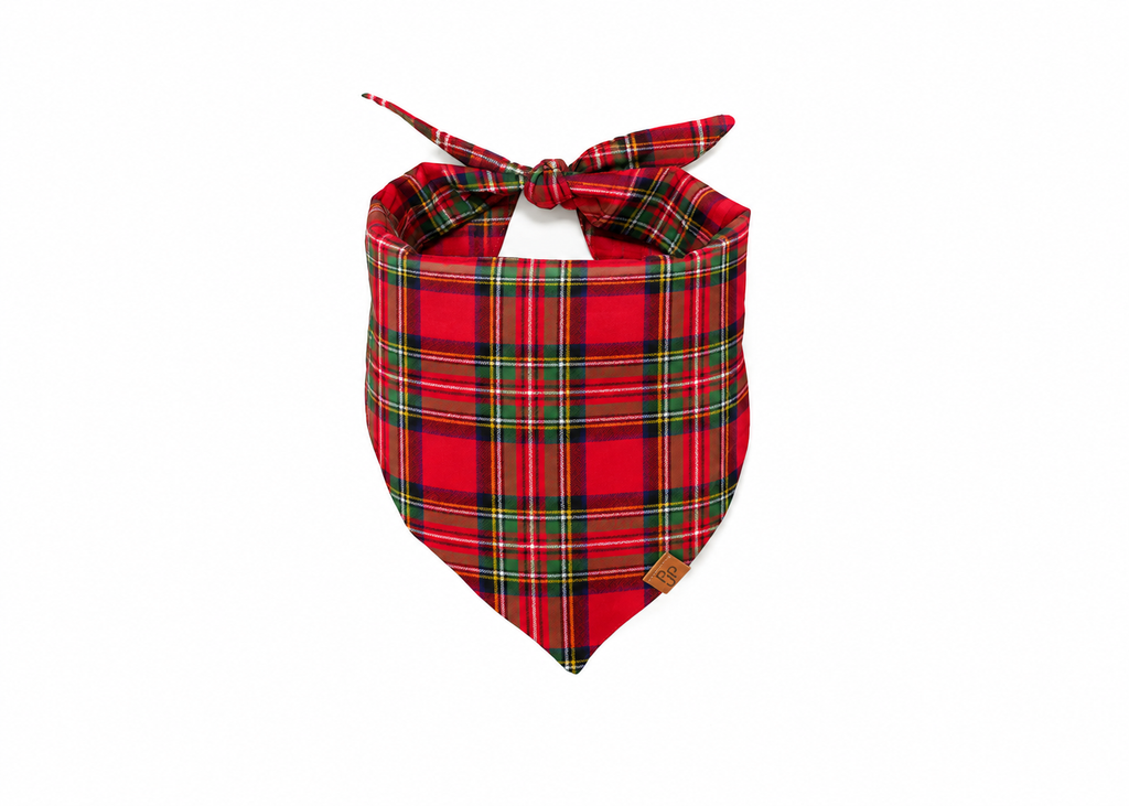 The Aspen Bandana