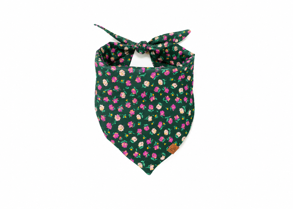 The Bethany Bandana