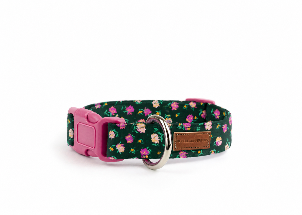 The Bethany Collar