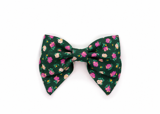 The Bethany Lady Bow