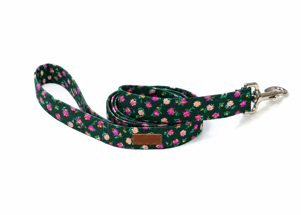 The Bethany Leash