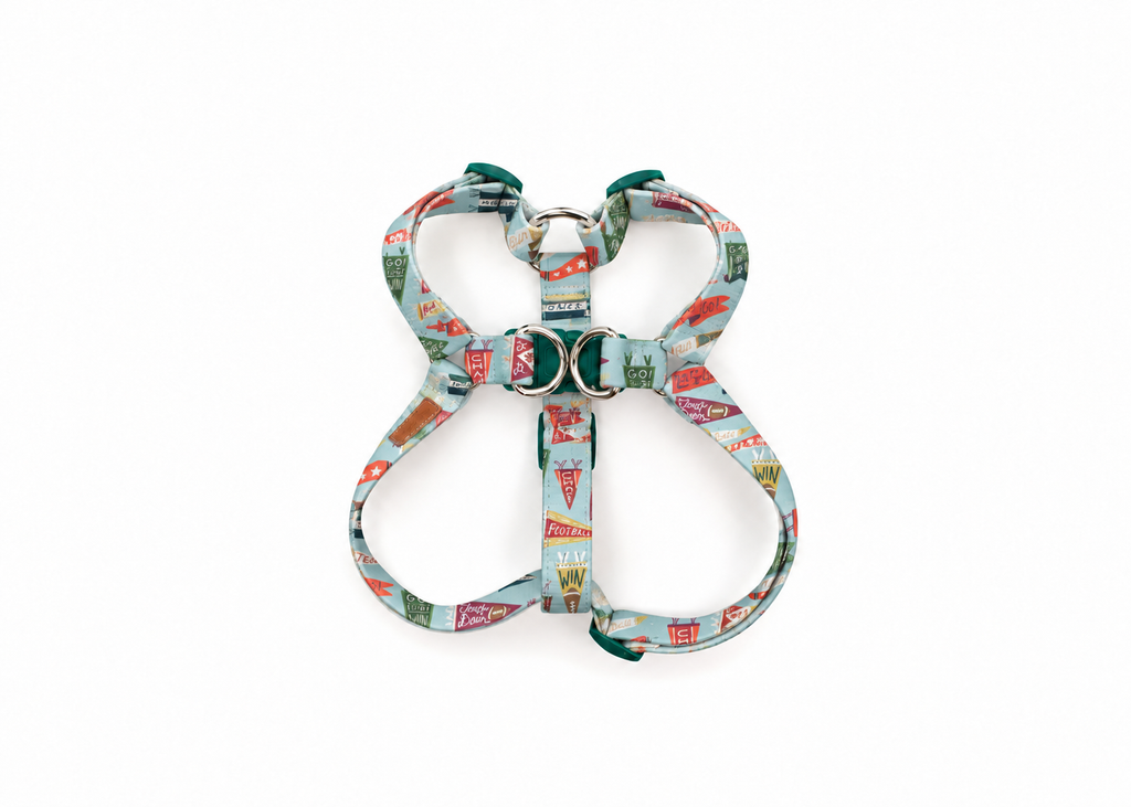 The Blitz Harness