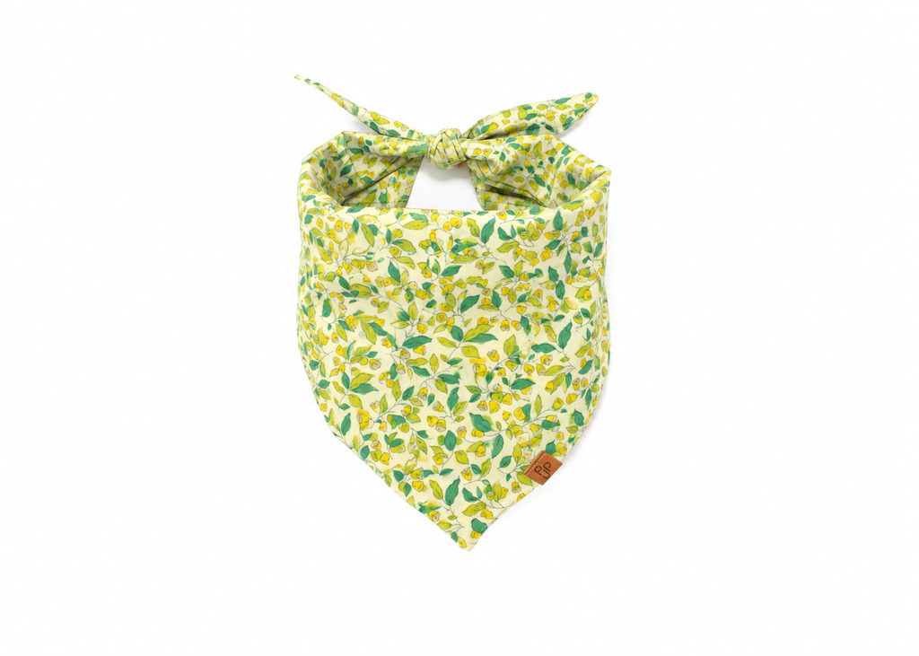 The Carol Bandana