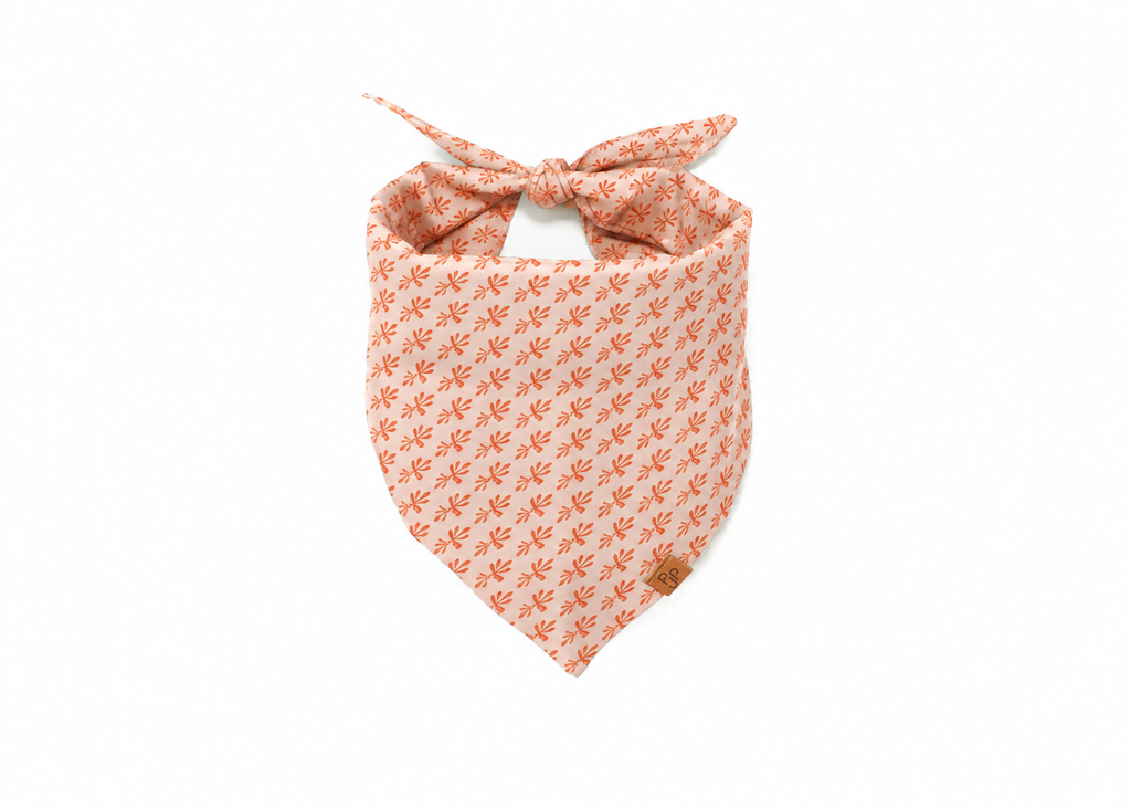 The Celeste Bandana