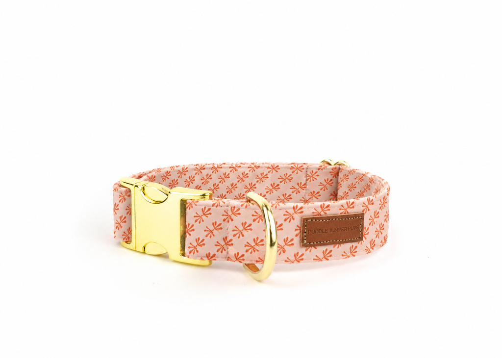 The Celeste Collar