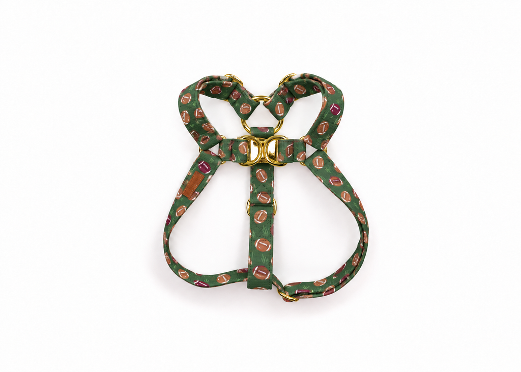 The Colt Harness