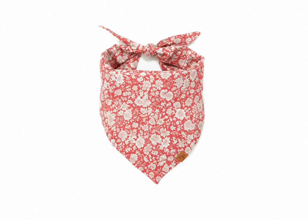 The Cora Bandana