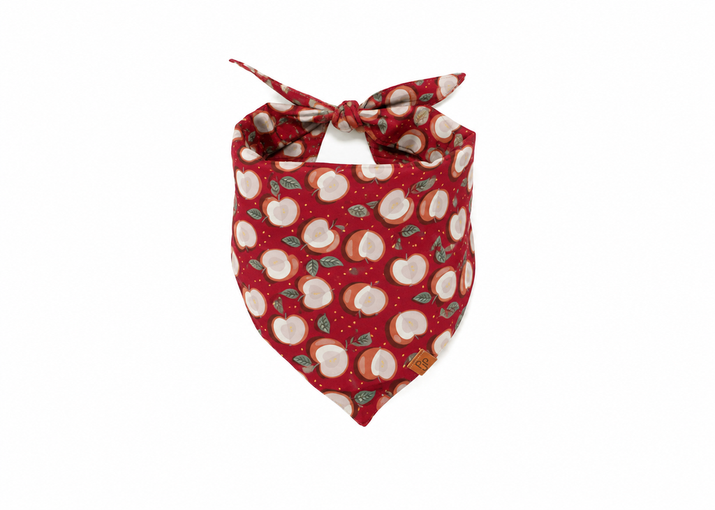 The Cortland Bandana