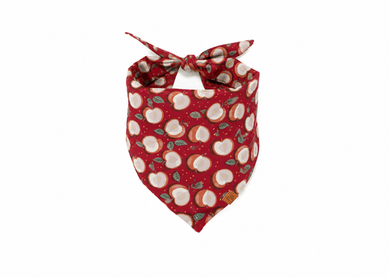 The Cortland Bandana