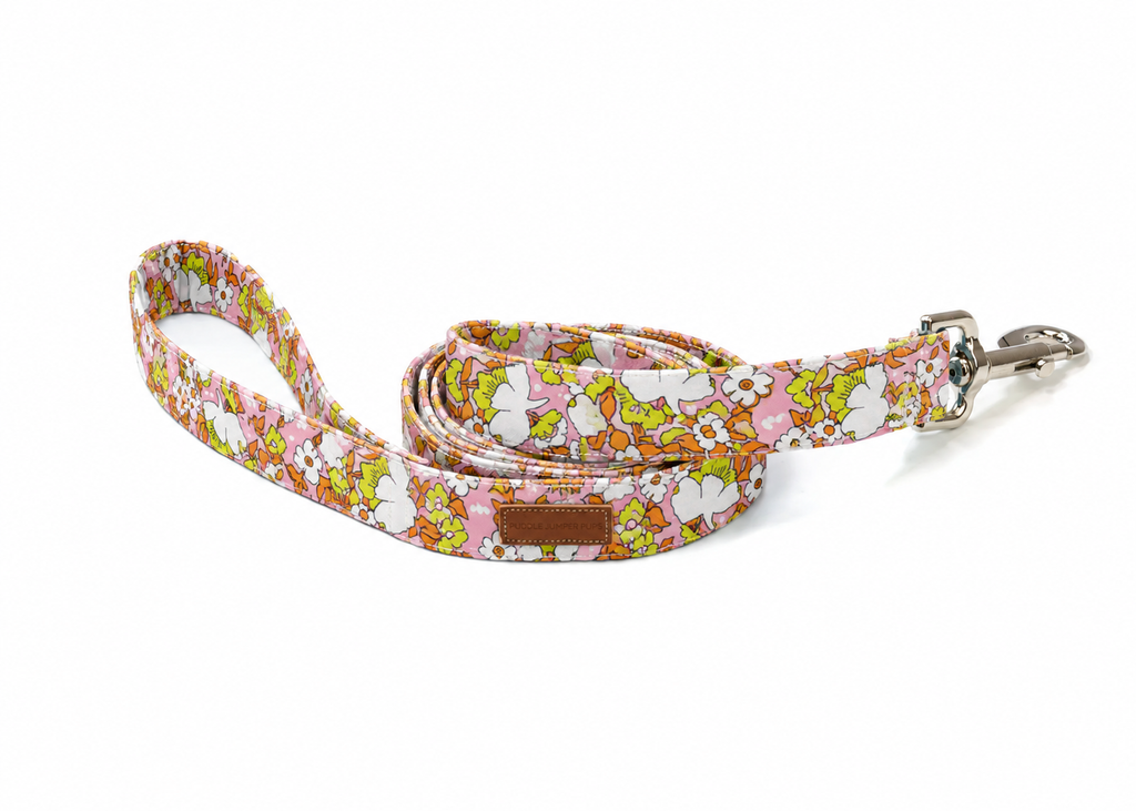 The Daphne Leash