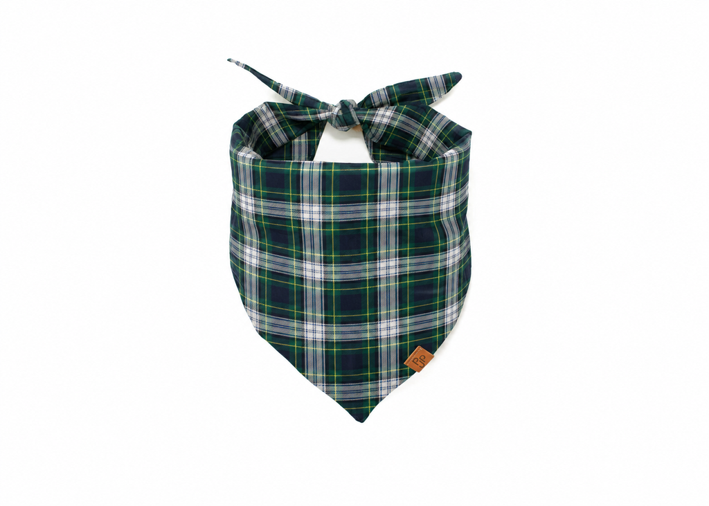 The Denali Bandana