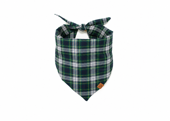 The Denali Bandana