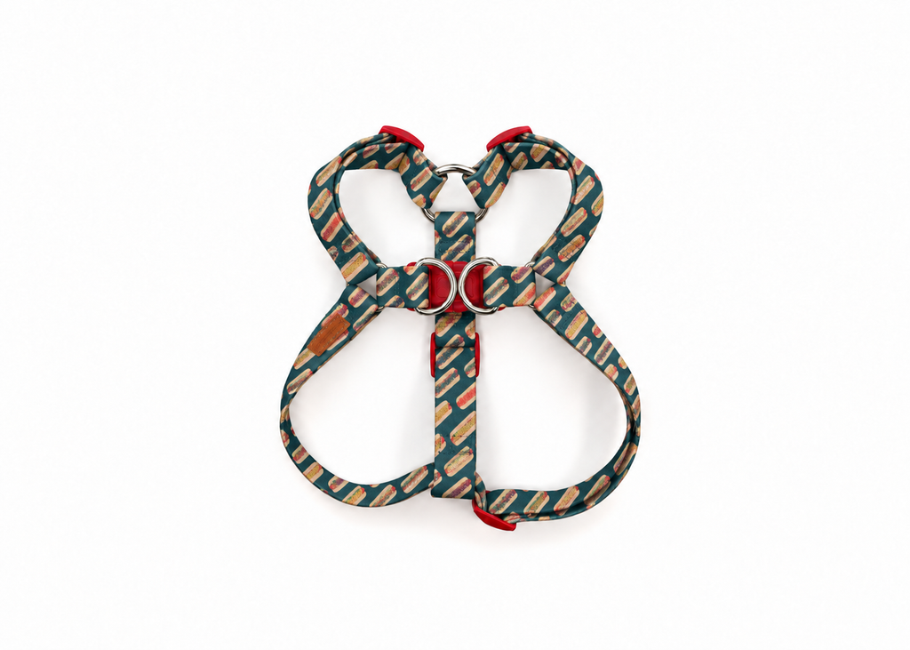 The Frank Harness