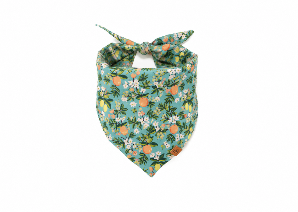 The Georgia Bandana