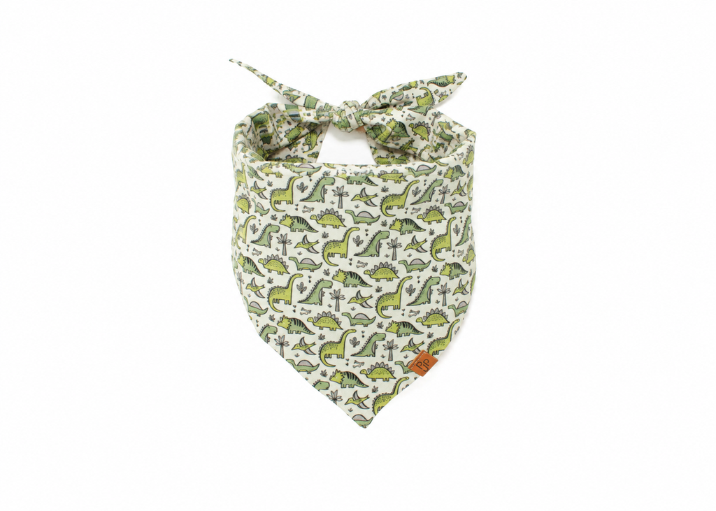 The Jude Bandana