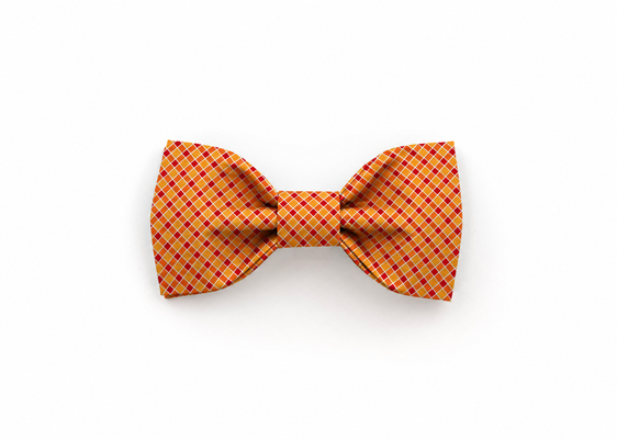 The Knox Bowtie