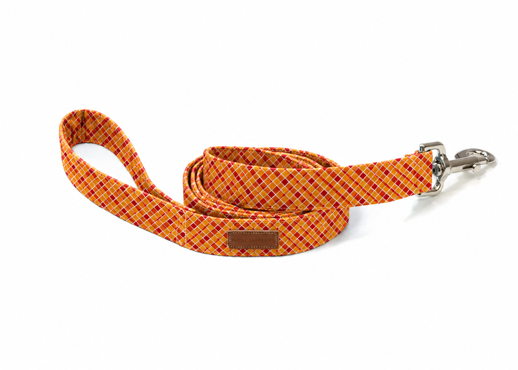 The Knox Leash